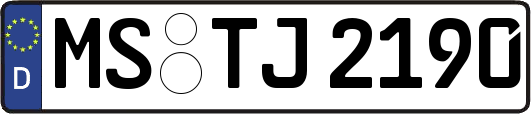 MS-TJ2190