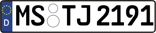 MS-TJ2191