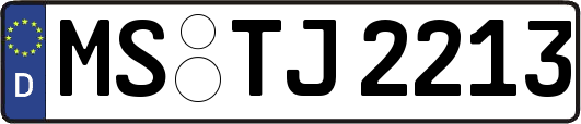 MS-TJ2213