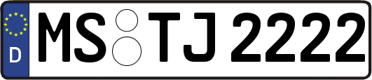 MS-TJ2222