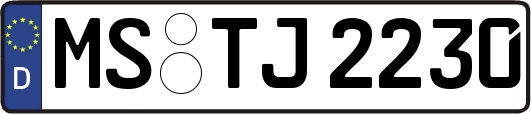 MS-TJ2230