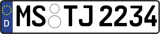 MS-TJ2234