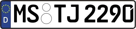 MS-TJ2290