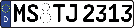 MS-TJ2313