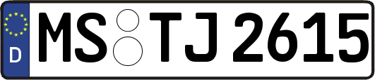 MS-TJ2615
