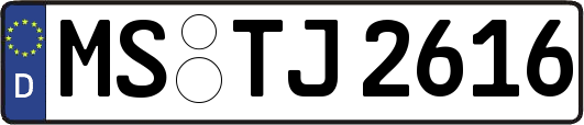 MS-TJ2616