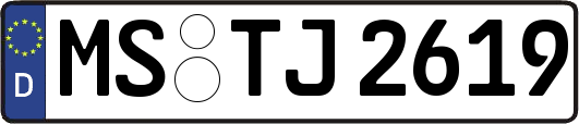 MS-TJ2619