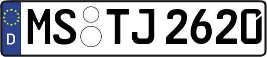 MS-TJ2620