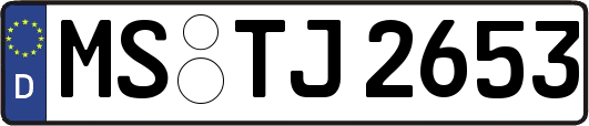 MS-TJ2653