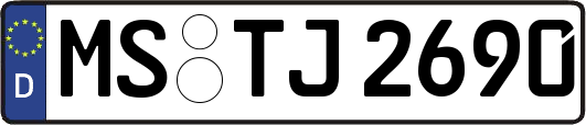MS-TJ2690