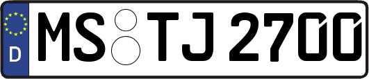 MS-TJ2700