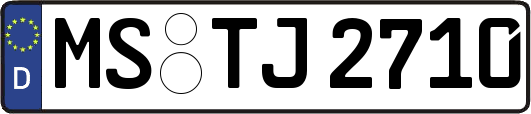 MS-TJ2710