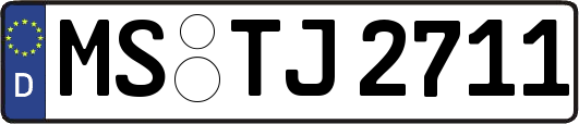 MS-TJ2711