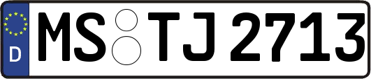 MS-TJ2713