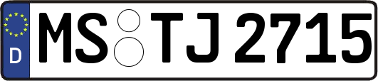 MS-TJ2715