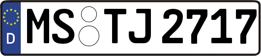 MS-TJ2717