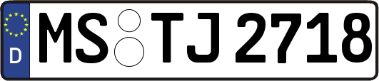 MS-TJ2718