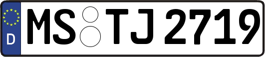 MS-TJ2719