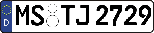 MS-TJ2729