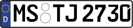 MS-TJ2730