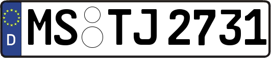 MS-TJ2731