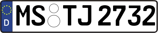 MS-TJ2732