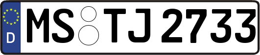 MS-TJ2733