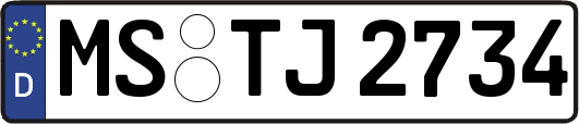 MS-TJ2734