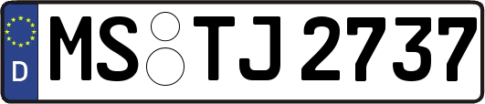 MS-TJ2737