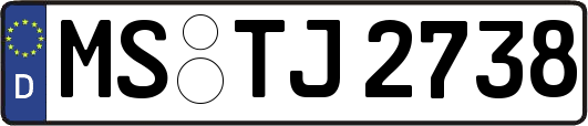 MS-TJ2738