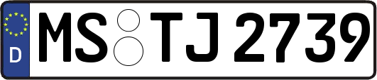 MS-TJ2739
