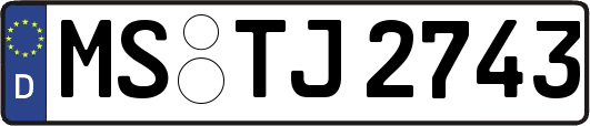 MS-TJ2743