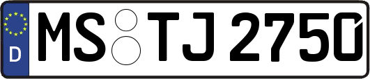 MS-TJ2750