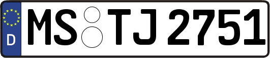 MS-TJ2751