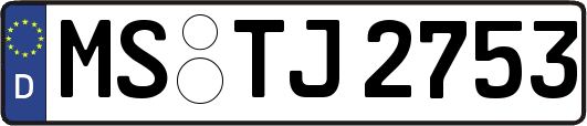 MS-TJ2753