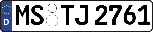MS-TJ2761