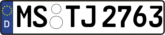 MS-TJ2763