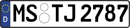 MS-TJ2787
