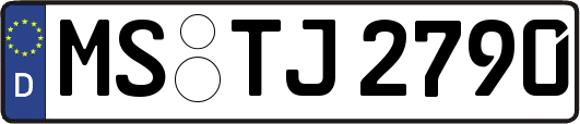 MS-TJ2790