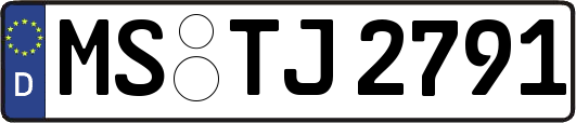 MS-TJ2791