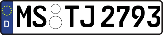 MS-TJ2793