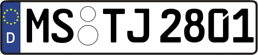 MS-TJ2801