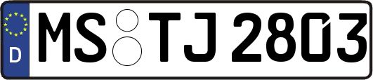 MS-TJ2803