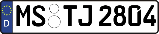 MS-TJ2804