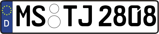 MS-TJ2808