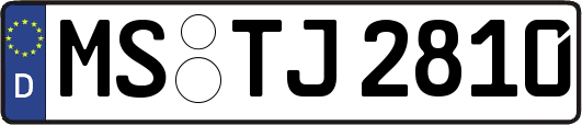 MS-TJ2810