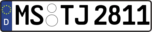 MS-TJ2811