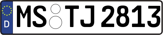 MS-TJ2813