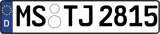 MS-TJ2815