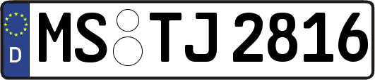 MS-TJ2816